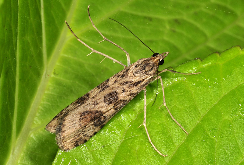 Micro riparate in casa